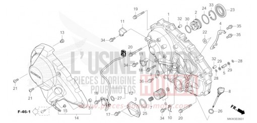 PANNEAU CARTER-MOTEUR D. (NC750XD) NC750XDP de 2023